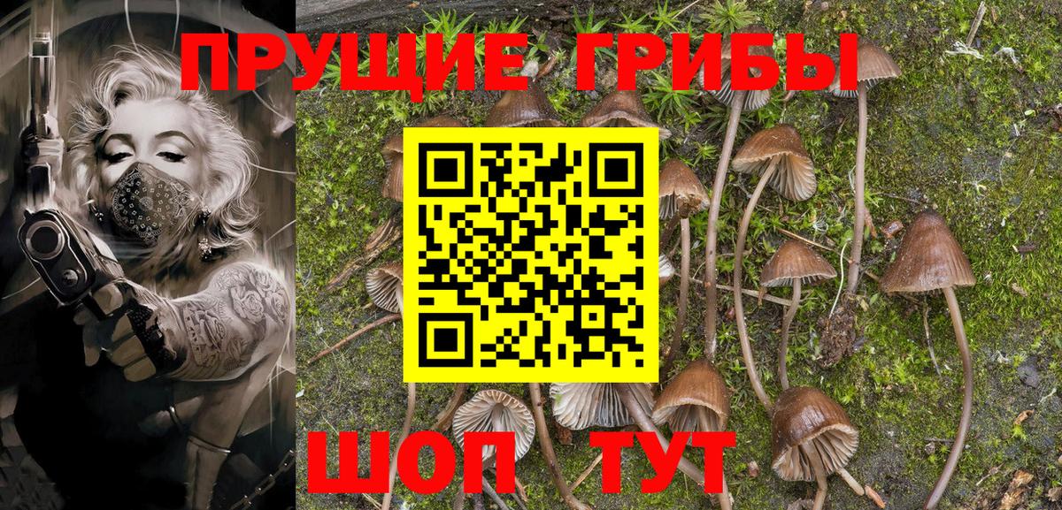 Галлюциногенные грибы Magic Shrooms Тамбов
