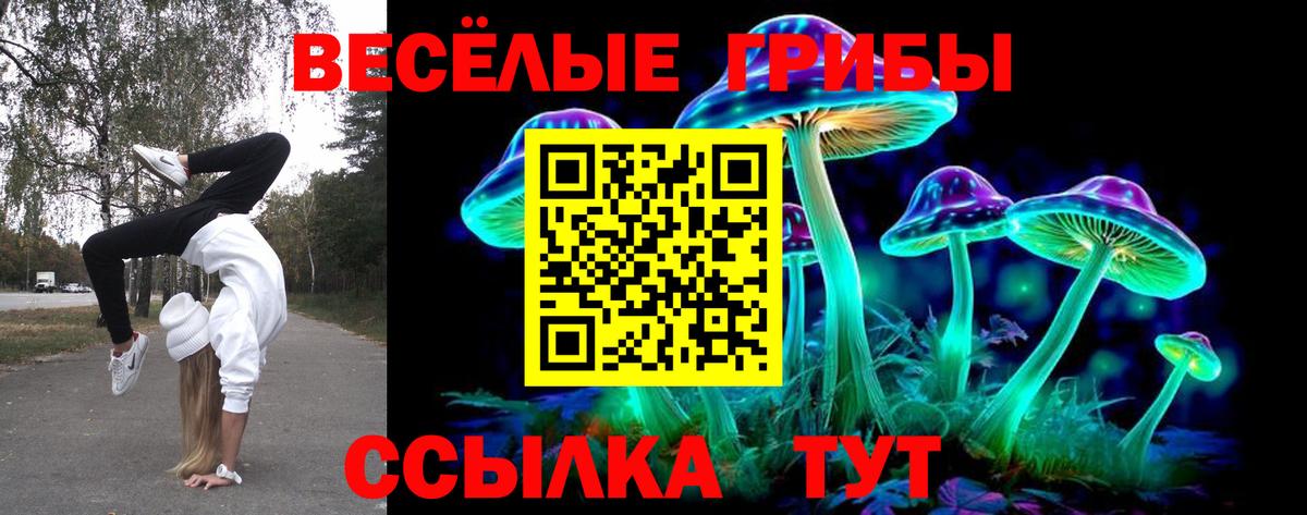 Тамбов  Псилоцибиновые грибы Psilocybe  Вход с VPN  Галлюциногенные грибы GOLDEN TEACHER 